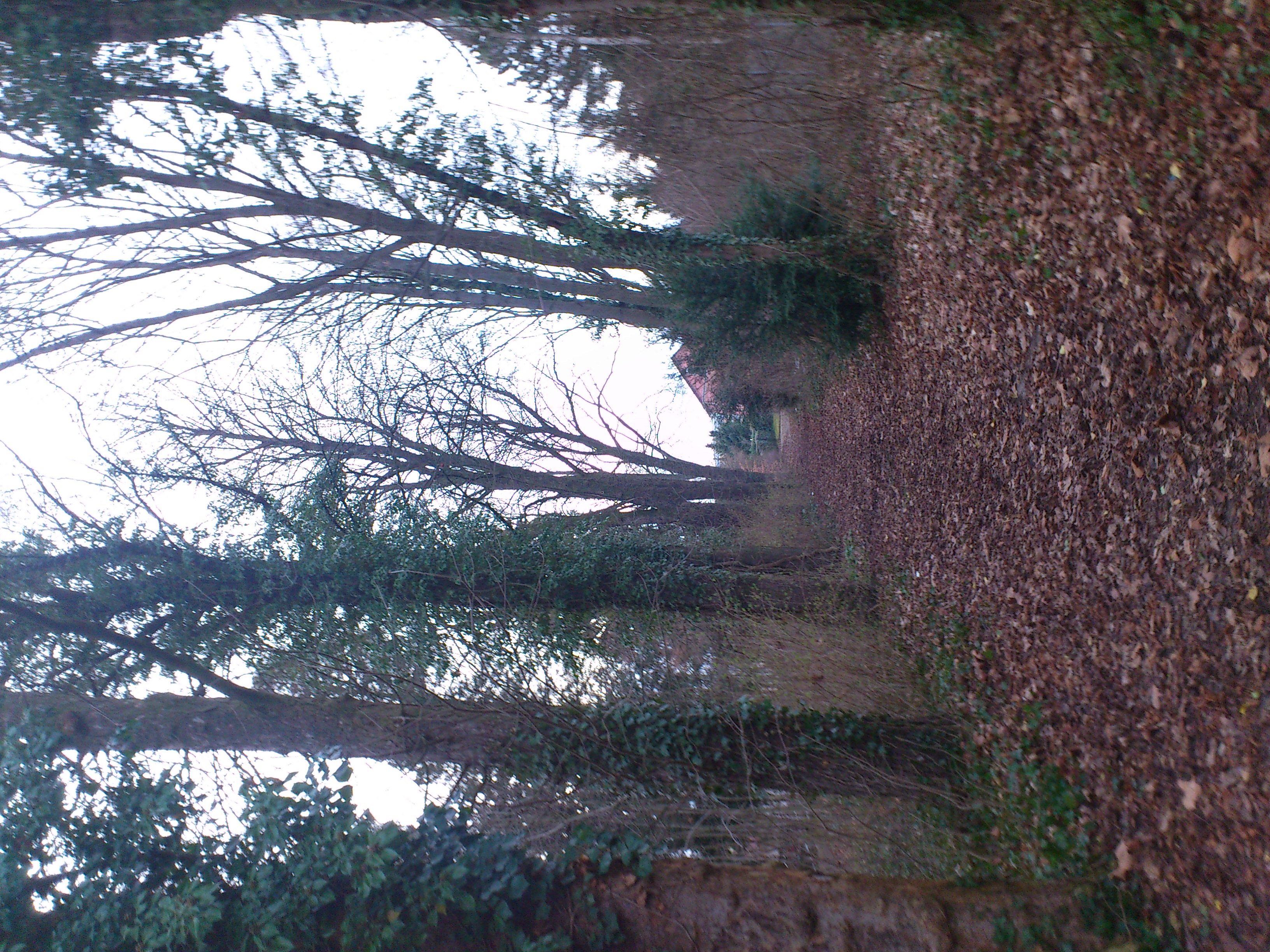 Weg nördlich des Maihäldenspielplatzes Pforzheim - Fortsetzung des historischen Weges